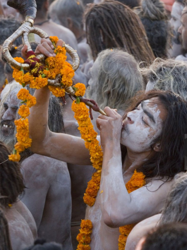 महाकुंभ  Maha Kumbh Mela 2025